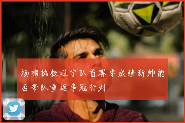 杨鸣执教辽宁队首赛季成绩新帅能否带队重返争冠行列