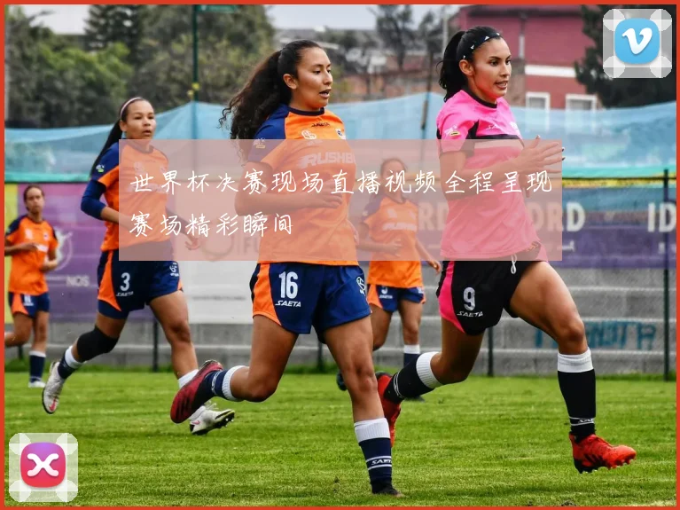 世界杯决赛现场直播视频全程呈现赛场精彩瞬间